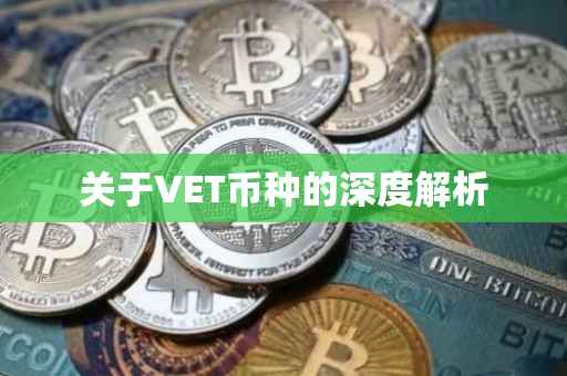 关于VET币种的深度解析