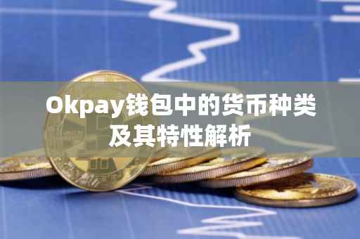 Okpay钱包中的货币种类及其特性解析
