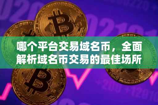 哪个平台交易域名币，全面解析域名币交易的最佳场所
