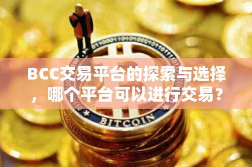 BCC交易平台的探索与选择，哪个平台可以进行交易？