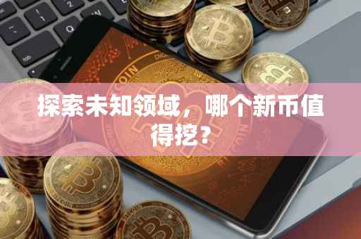 探索未知领域，哪个新币值得挖？