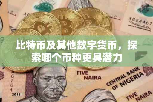 比特币及其他数字货币，探索哪个币种更具潜力