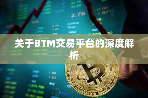 关于BTM交易平台的深度解析