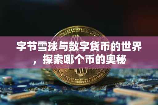 字节雪球与数字货币的世界，探索哪个币的奥秘