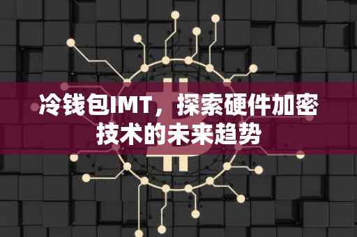 冷钱包IMT，探索硬件加密技术的未来趋势