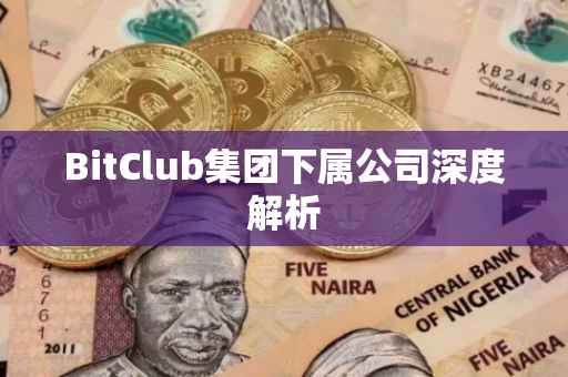 BitClub集团下属公司深度解析