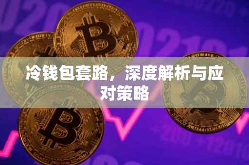 冷钱包套路，深度解析与应对策略