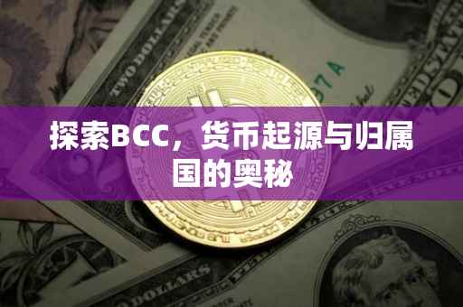 探索BCC，货币起源与归属国的奥秘