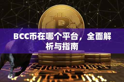 BCC币在哪个平台，全面解析与指南