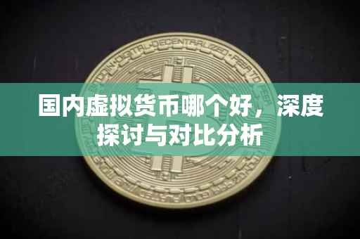国内虚拟货币哪个好，深度探讨与对比分析