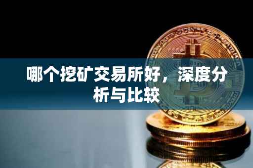 哪个挖矿交易所好，深度分析与比较