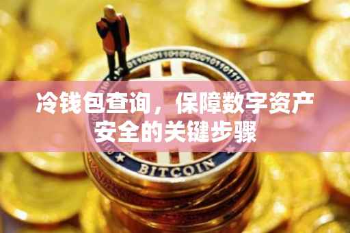 冷钱包查询，保障数字资产安全的关键步骤