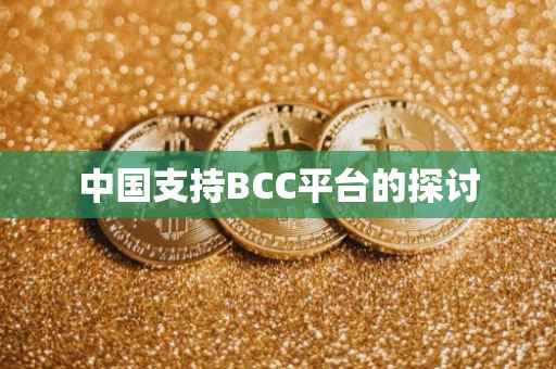 中国支持BCC平台的探讨