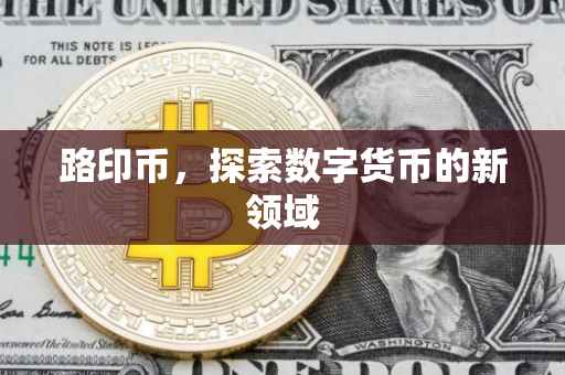 路印币，探索数字货币的新领域