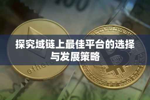 探究域链上最佳平台的选择与发展策略