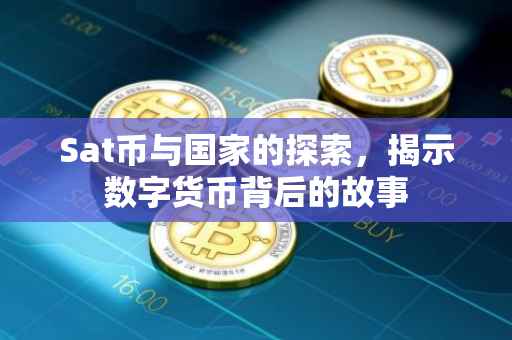 Sat币与国家的探索，揭示数字货币背后的故事