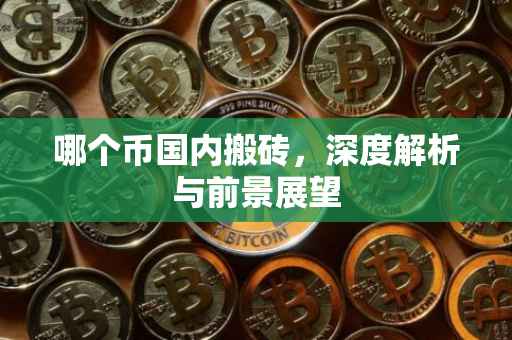 哪个币国内搬砖，深度解析与前景展望