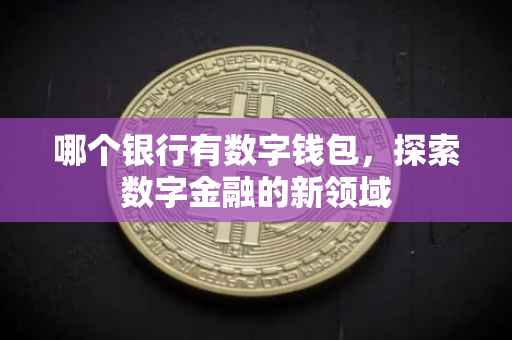 哪个银行有数字钱包，探索数字金融的新领域