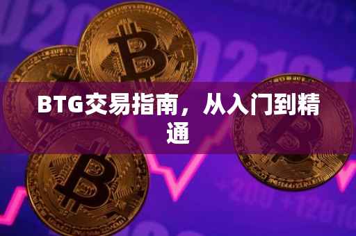 BTG交易指南，从入门到精通
