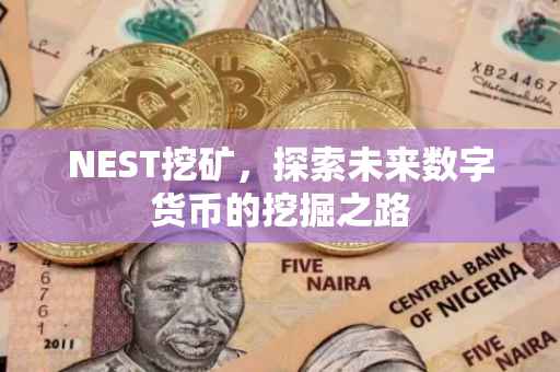 NEST挖矿，探索未来数字货币的挖掘之路