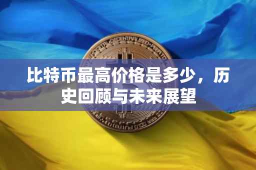 比特币最高价格是多少，历史回顾与未来展望