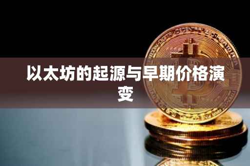 以太坊的起源与早期价格演变
