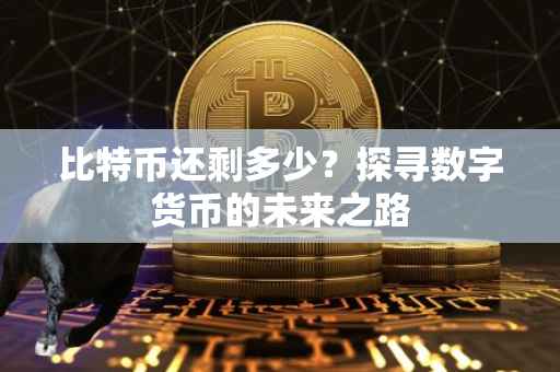 比特币还剩多少？探寻数字货币的未来之路