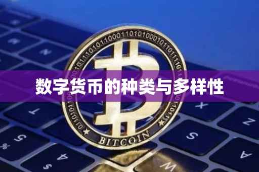 数字货币的种类与多样性