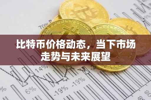 比特币价格动态，当下市场走势与未来展望