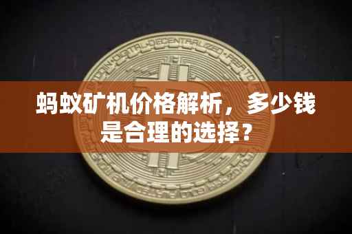 蚂蚁矿机价格解析，多少钱是合理的选择？