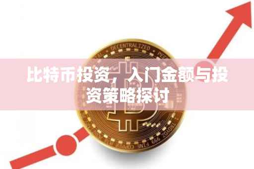比特币投资，入门金额与投资策略探讨