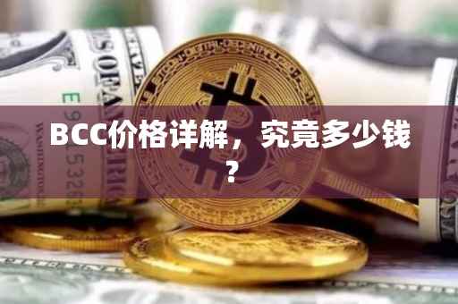 BCC价格详解，究竟多少钱？