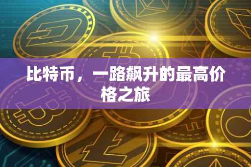 比特币，一路飙升的最高价格之旅