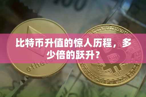 比特币升值的惊人历程，多少倍的跃升？