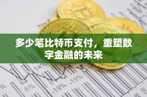 多少笔比特币支付，重塑数字金融的未来