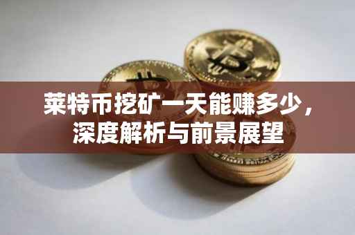 莱特币挖矿一天能赚多少，深度解析与前景展望