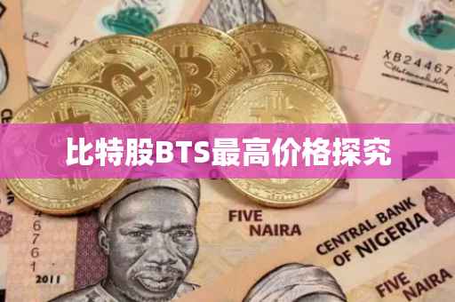 比特股BTS最高价格探究