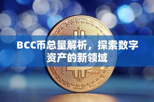 BCC币总量解析，探索数字资产的新领域