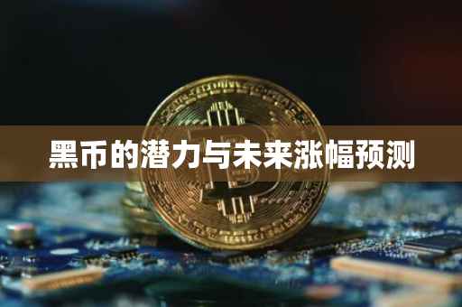 黑币的潜力与未来涨幅预测