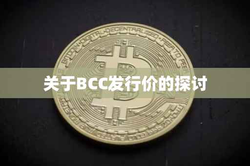 关于BCC发行价的探讨