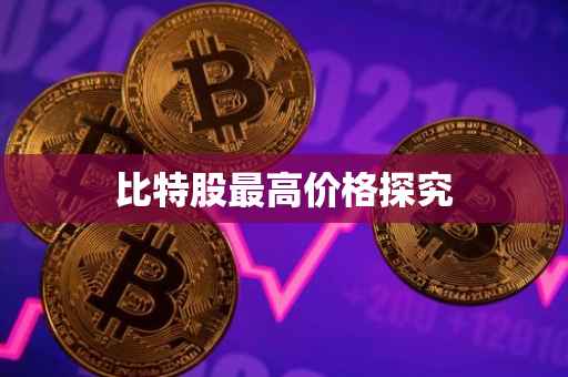 比特股最高价格探究
