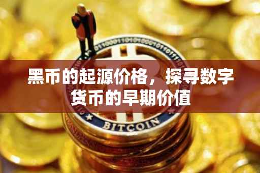 黑币的起源价格，探寻数字货币的早期价值