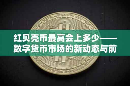 红贝壳币最高会上多少——数字货币市场的新动态与前景分析
