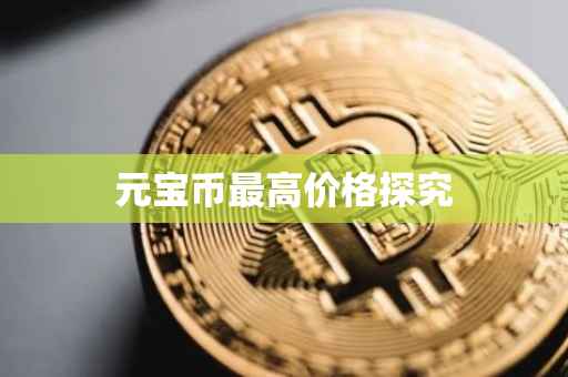 元宝币最高价格探究