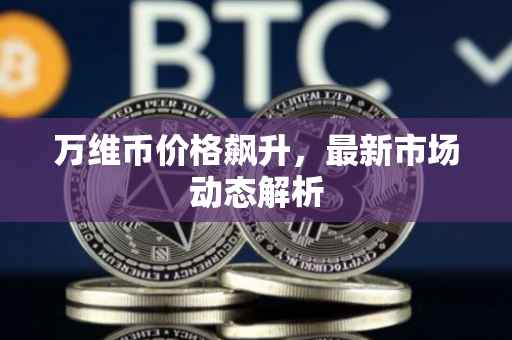 万维币价格飙升，最新市场动态解析