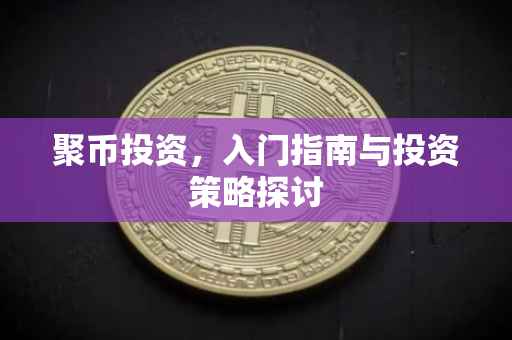 聚币投资，入门指南与投资策略探讨