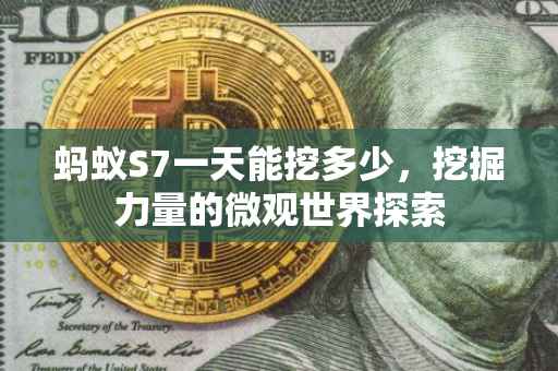蚂蚁S7一天能挖多少，挖掘力量的微观世界探索