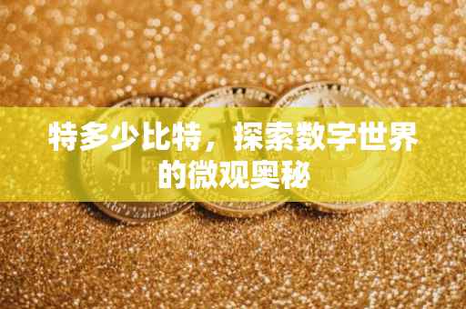 特多少比特，探索数字世界的微观奥秘