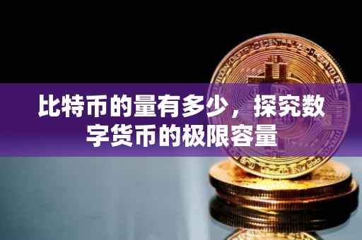 比特币的量有多少，探究数字货币的极限容量