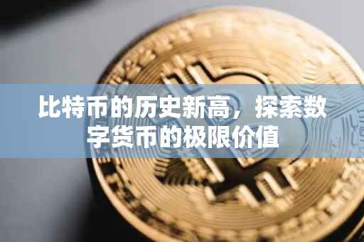 比特币的历史新高，探索数字货币的极限价值